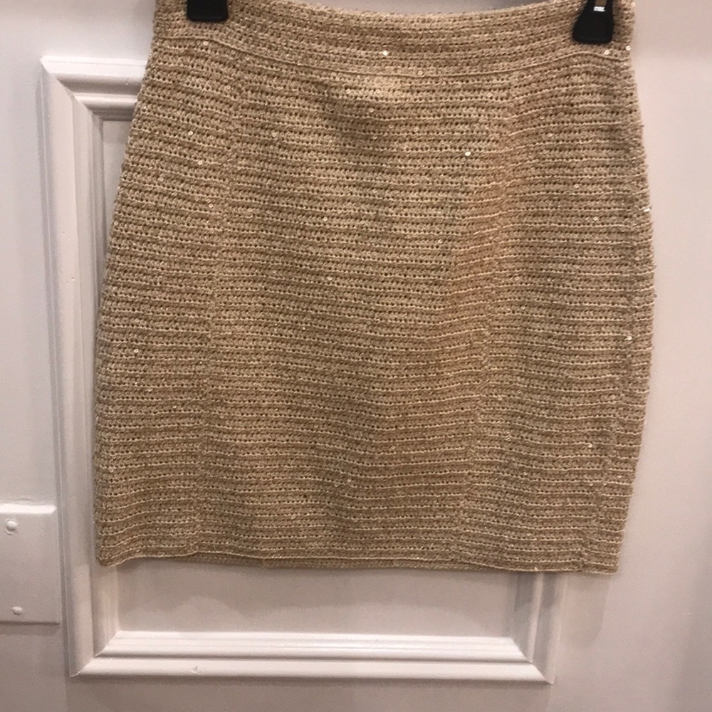 Knit And Sequin Skirt